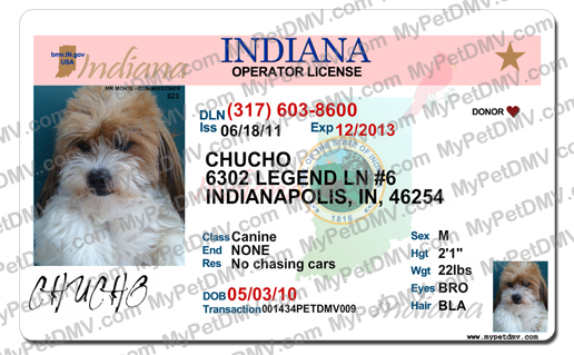Ohio drivers license number generator